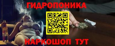 дмт Будённовск
