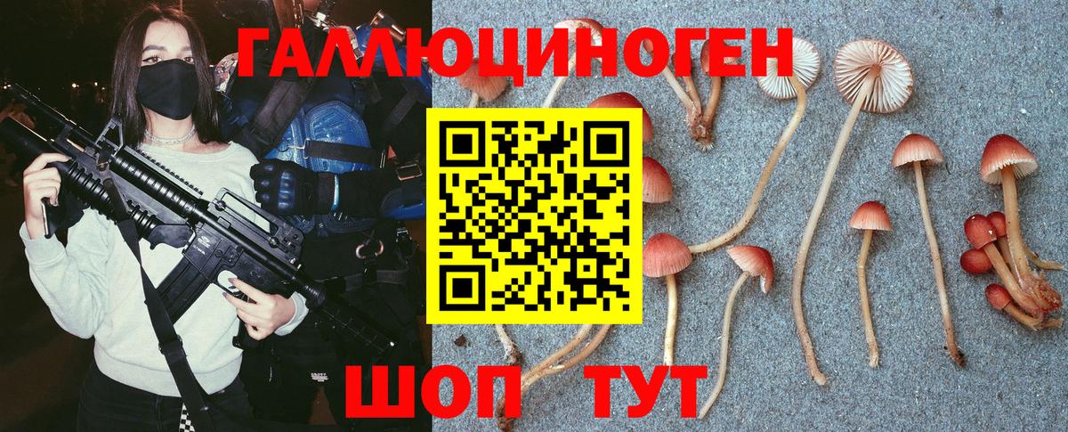 Псилоцибиновые грибы мухоморы Саратов